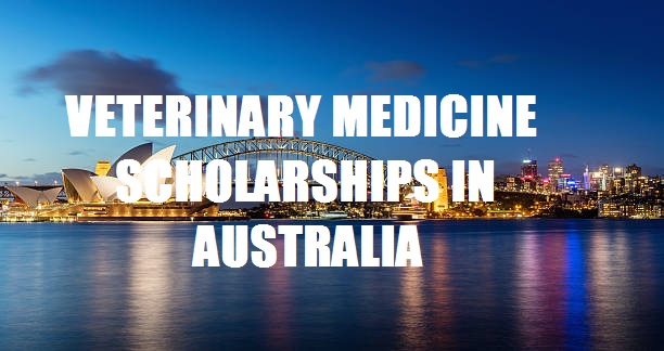 Veterinary Medicine Scholarships In Australia [All Details]