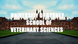 University of Sydney School of Veterinary Sciences