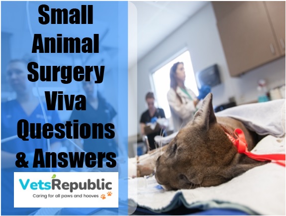 Small Animal Surgery Authentic Viva Questions And Answers