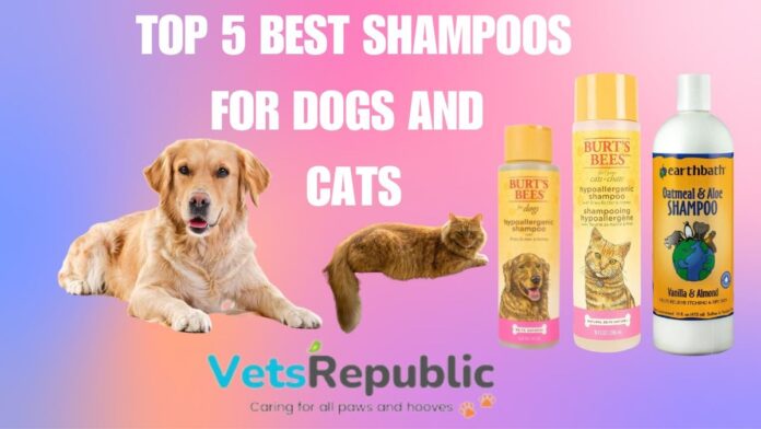 Top 5 Best Shampoos For Dogs And Cats