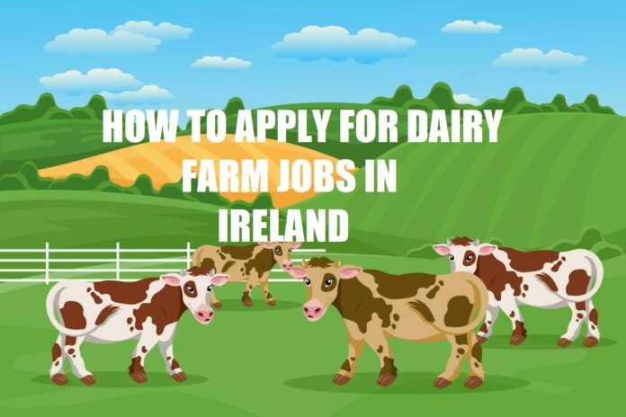 How To Apply For Dairy Farm Jobs In Ireland [All Details]