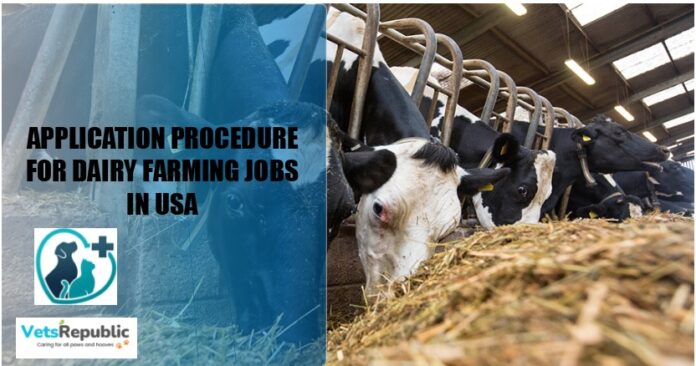How To Apply For Dairy Farm Jobs In USA